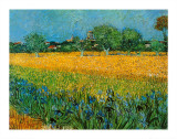 View of Arles with Irises Framed Art Print