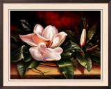 Buy Magnolias on Red II at AllPosters.com