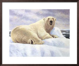 Buy Ice Kingdom at AllPosters.com