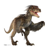 Buy Velociraptor at AllPosters.com