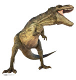 T Rex