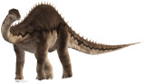Diplodocus