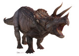 Triceratops