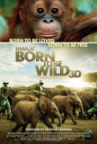 Buy Born To Be Wild at AllPosters.com