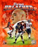 Brian Urlacher 2011 Portrait Plus