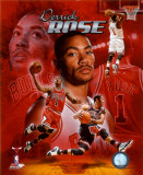 Derrick Rose 2011 Portrait Plus
