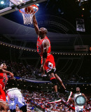 Michael Jordan 1995-96 Action