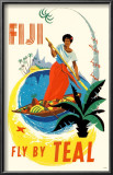 Fiji- Fly By Teal