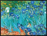 Irises, c.1889 Framed Canvas Print