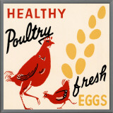 Buy Healthy Poultry-Fresh Eggs at AllPosters.com