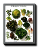 Buy Salads at AllPosters.com