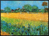 View of Arles with Irises Framed Canvas Print