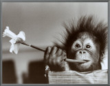 Hair Raising Experience