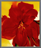 Red Amaryllis, 1937 Framed Canvas Print