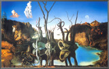 Buy Reflections of Elephants at AllPosters.com