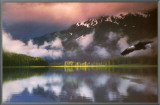 Buy Leadership: Eagle at AllPosters.com