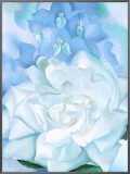 Buy White Rose W/ Lakspur No.2 at AllPosters.com