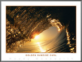 Golden Sunrise Curl