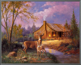 Deer Near Cabin