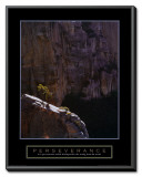 Buy Perseverance: Lone Pinyon Tree at AllPosters.com
