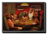 Bold Bluff
