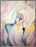 Buy Light Iris 1924 at AllPosters.com