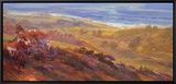 Hilltop I