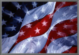 Patriotic Freedom