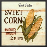 Fresh Picked Sweet Corn