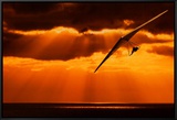 Buy Inspire at AllPosters.com