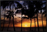 Buy Relax: Palm Trees at AllPosters.com