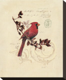 Buy Filigree Cardinal at AllPosters.com