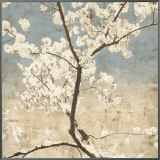 Cherry Blossoms I