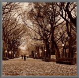Buy Central Park at AllPosters.com