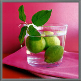 Buy Citrons Verts at AllPosters.com
