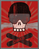 Buy Shred at AllPosters.com