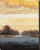 Buy Restoration I at AllPosters.com