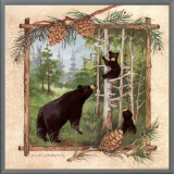 Black Bears II