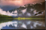 Buy Leadership: Eagle at AllPosters.com