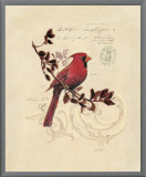 Filigree Cardinal