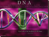 Buy DNA at AllPosters.com