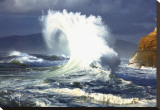 Buy Integrity: Wave at AllPosters.com