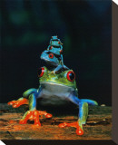 Frogs