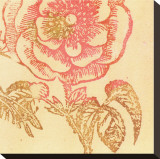 Buy Coral Rose at AllPosters.com