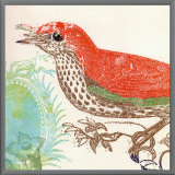 Buy Red Bird at AllPosters.com