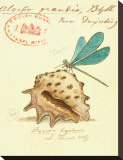 Buy Nature's Curiosities IX at AllPosters.com