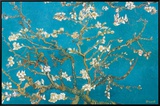 Buy Almond Branches in Bloom, San Remy, c.1890 at AllPosters.com