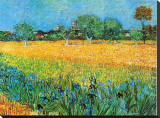 Buy View of Arles with Irises at AllPosters.com