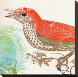 Buy Red Bird at AllPosters.com