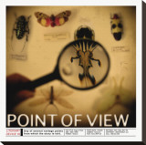 Buy Literary Devices: Point of View at AllPosters.com